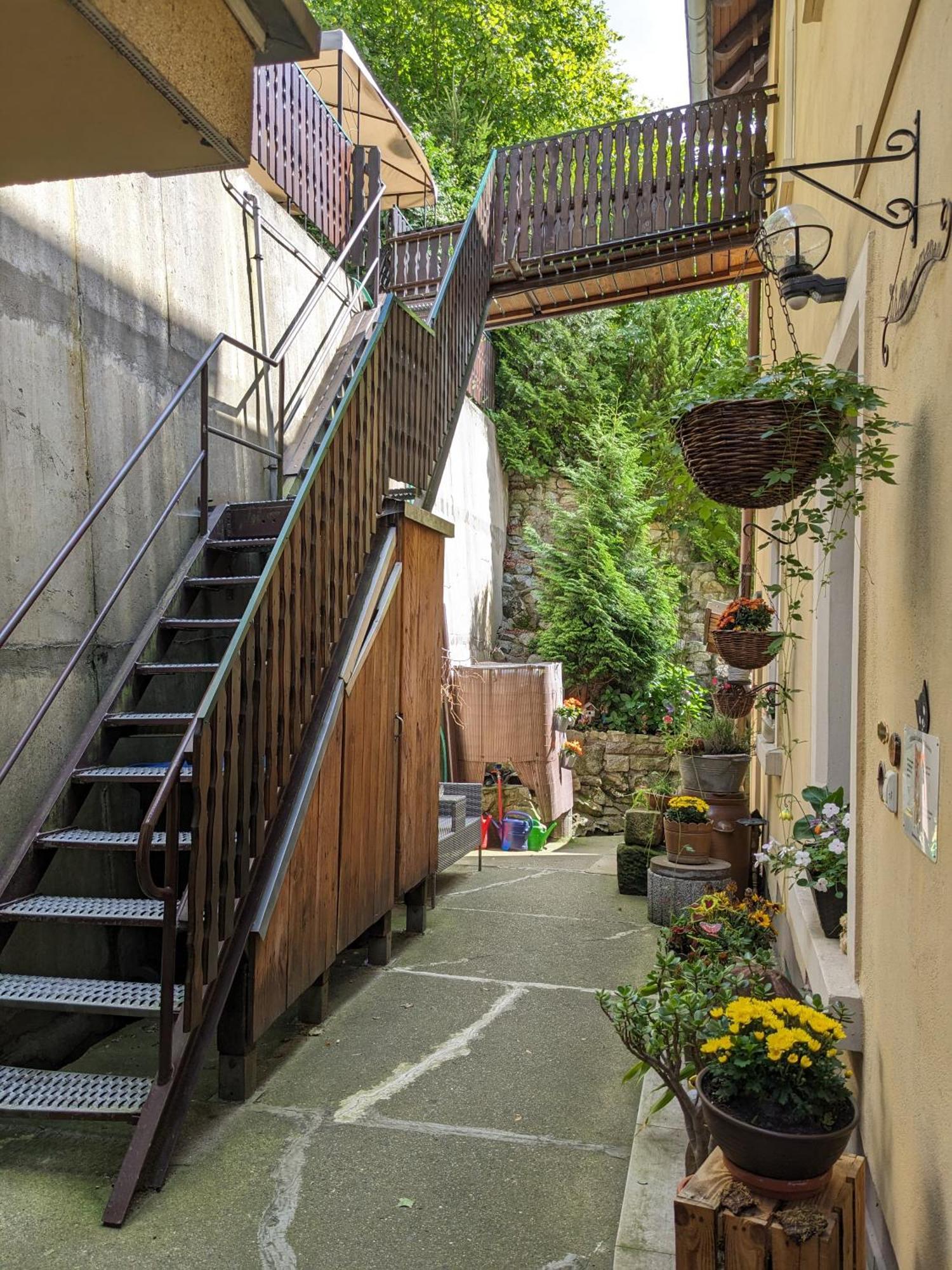 Waldblickwohnung Mit Schoener Terrasse Und Kamin Appartement Sebnitz