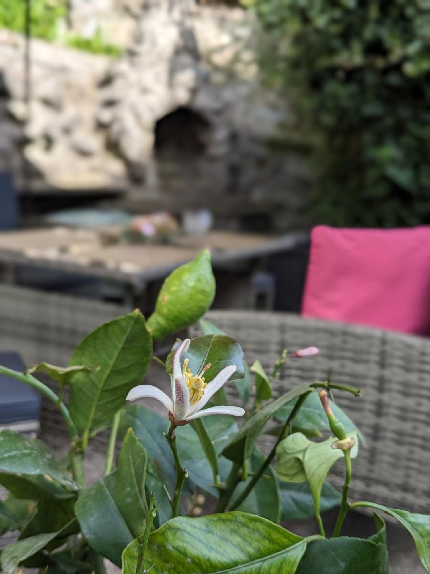 Appartement Waldblickwohnung Mit Schoener Terrasse Und Kamin Sebnitz