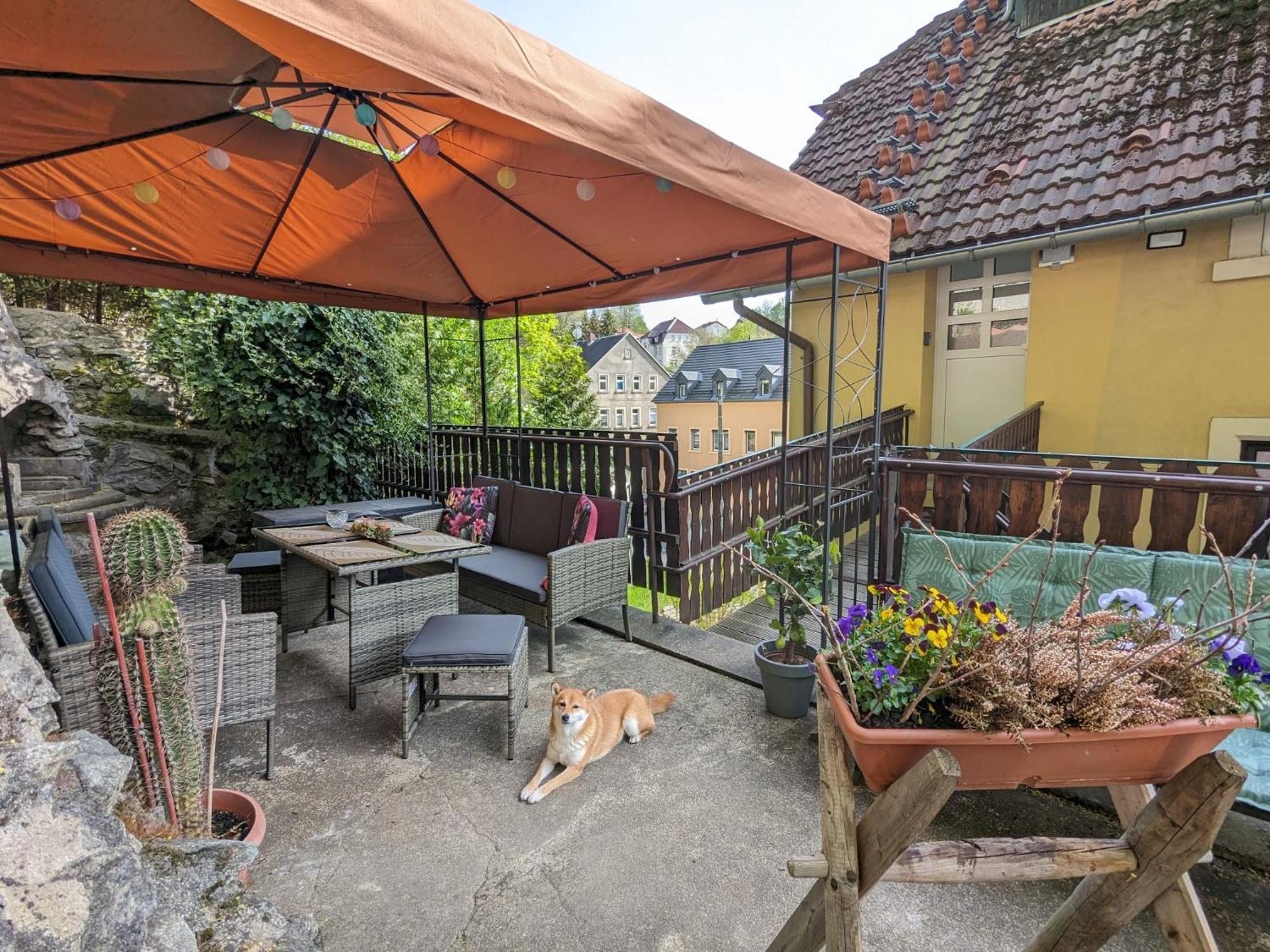 Waldblickwohnung Mit Schoener Terrasse Und Kamin * Sebnitz