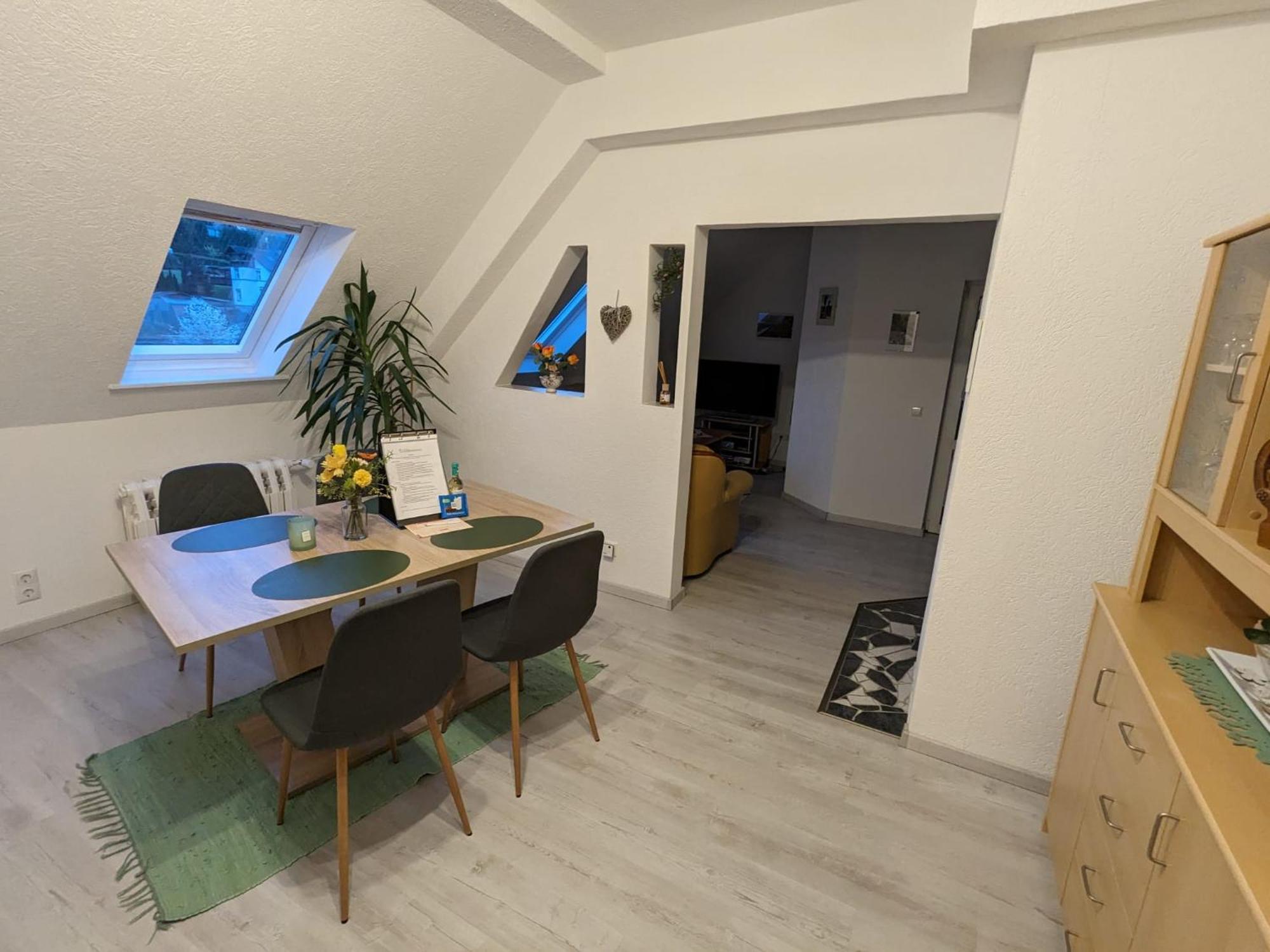Waldblickwohnung Mit Schoener Terrasse Und Kamin Appartement Sebnitz